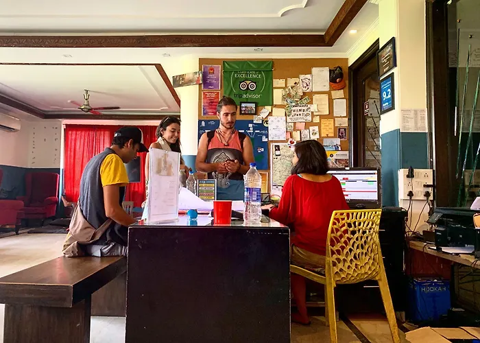 Madpackers Delhi Hostel New Delhi