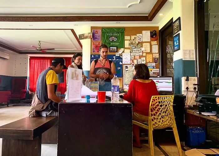 Madpackers Delhi Hostel New Delhi